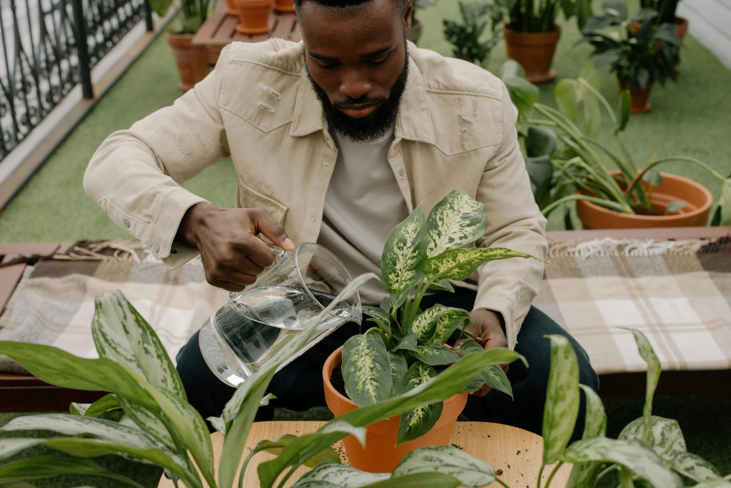 Indoor & Balcony Gardening