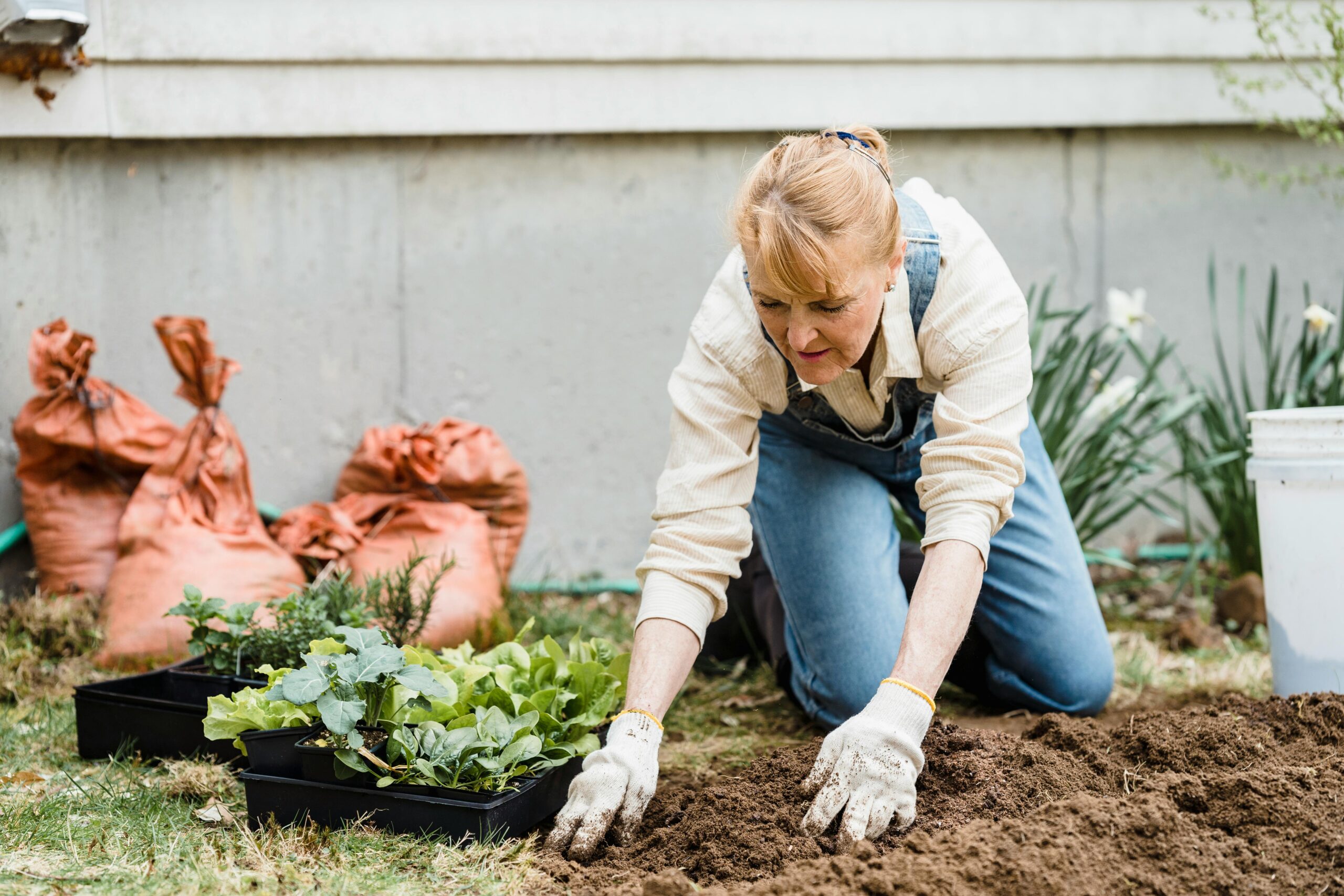 Spring Gardening Guide