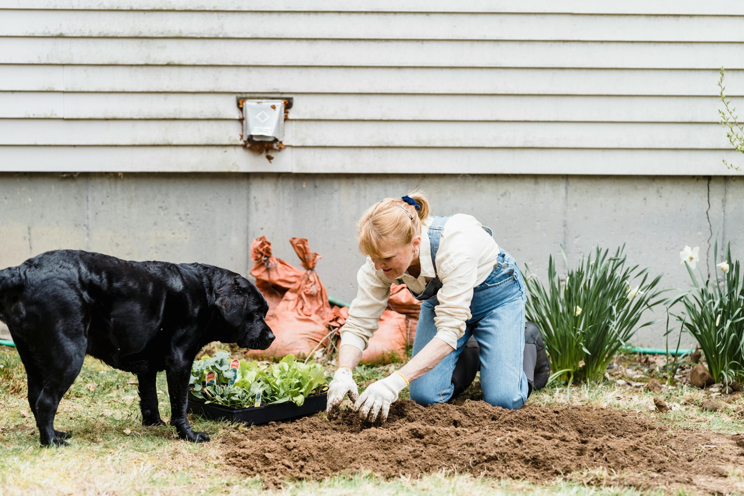 Companion Planting