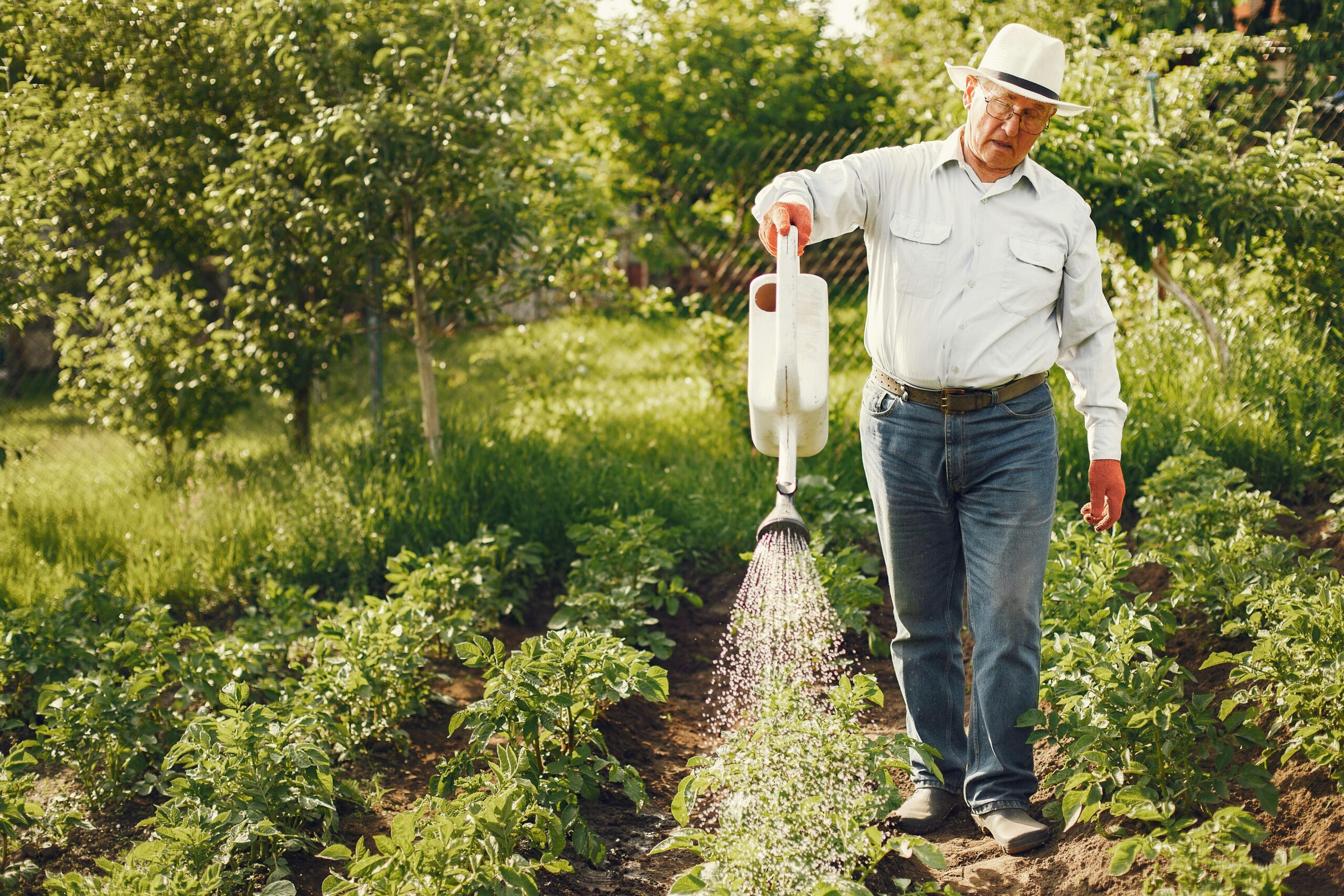 Watering & Soil Care