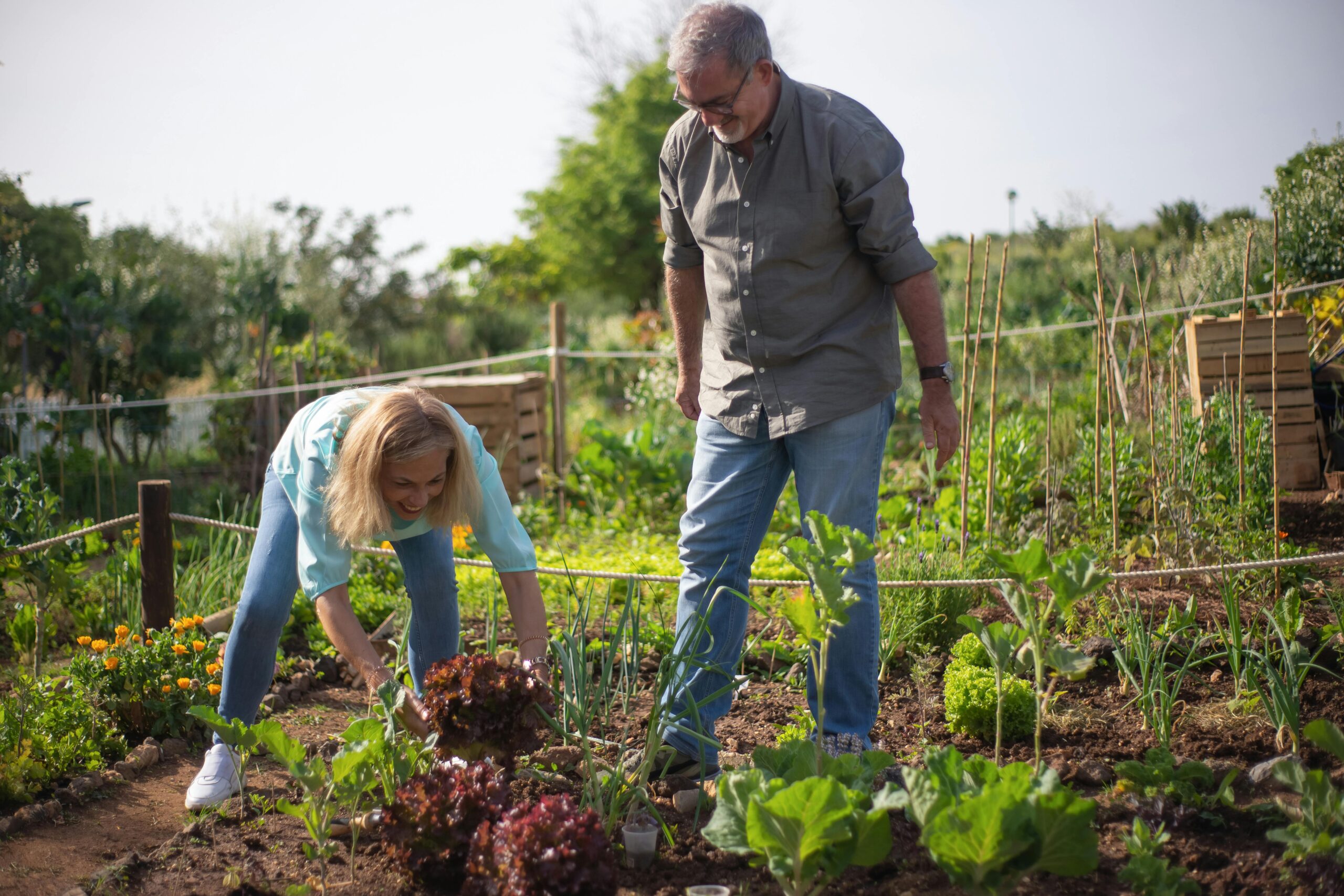 Organic Gardening