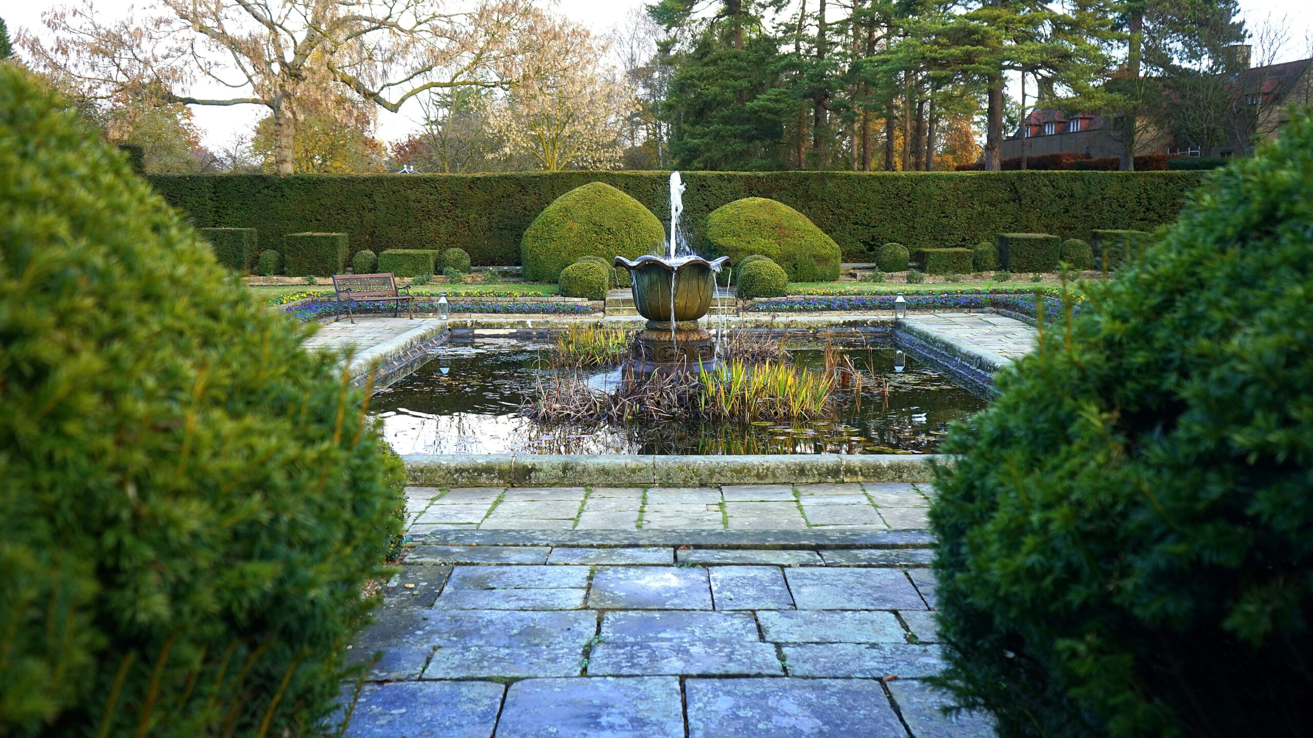 Pond & Water Features