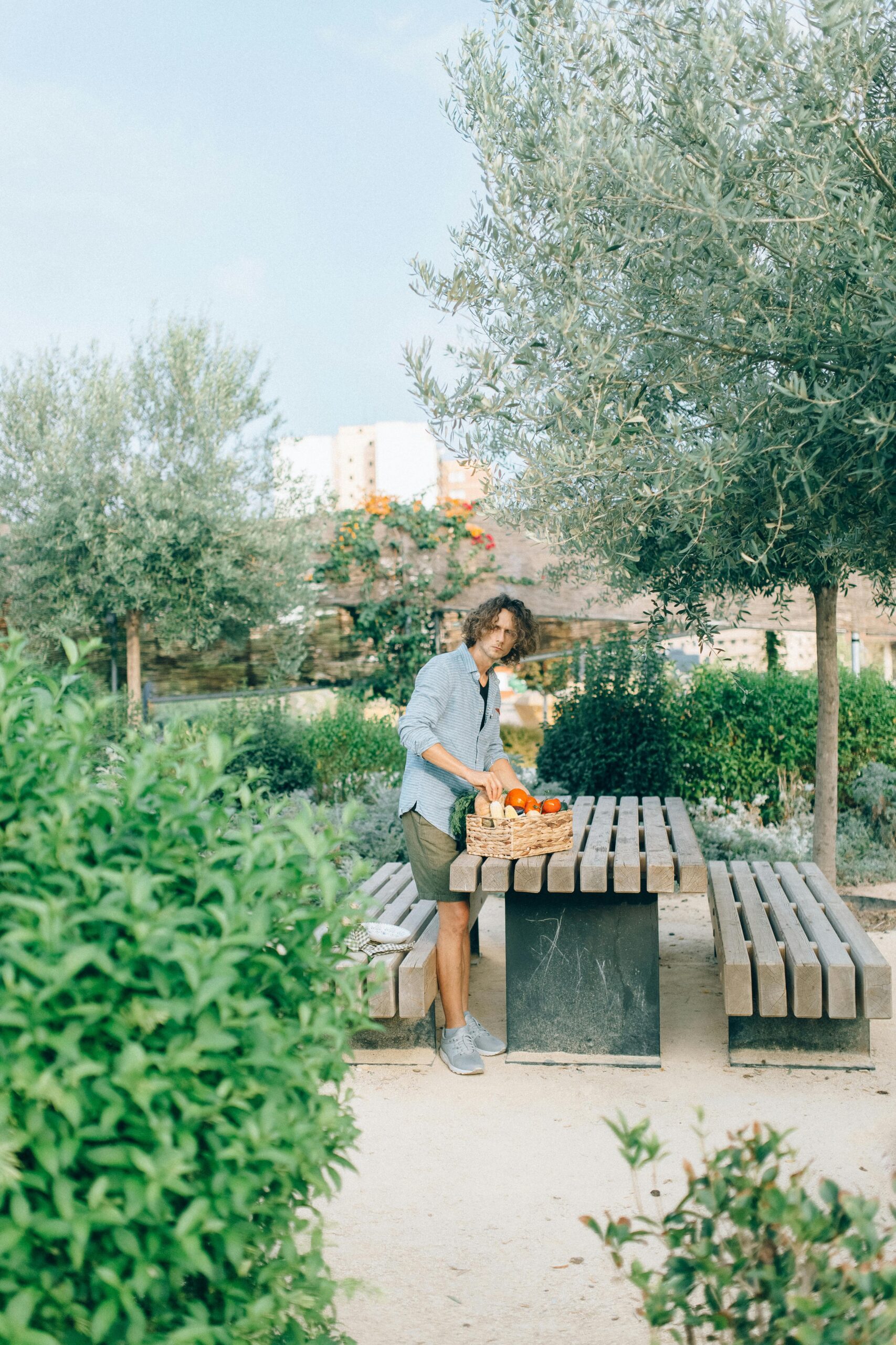 Fruit Trees & Bushes