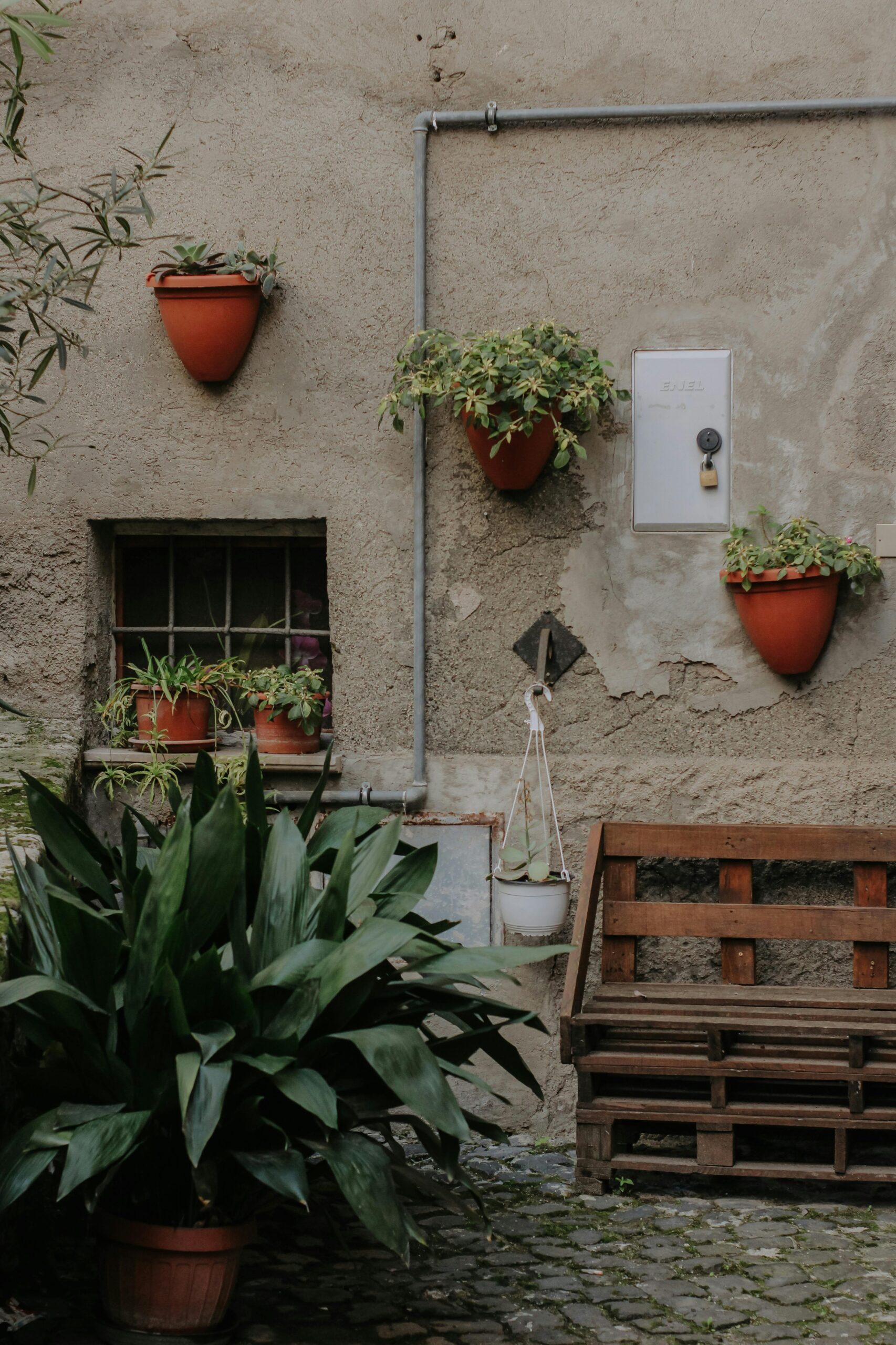 Vertical Gardens & Planters