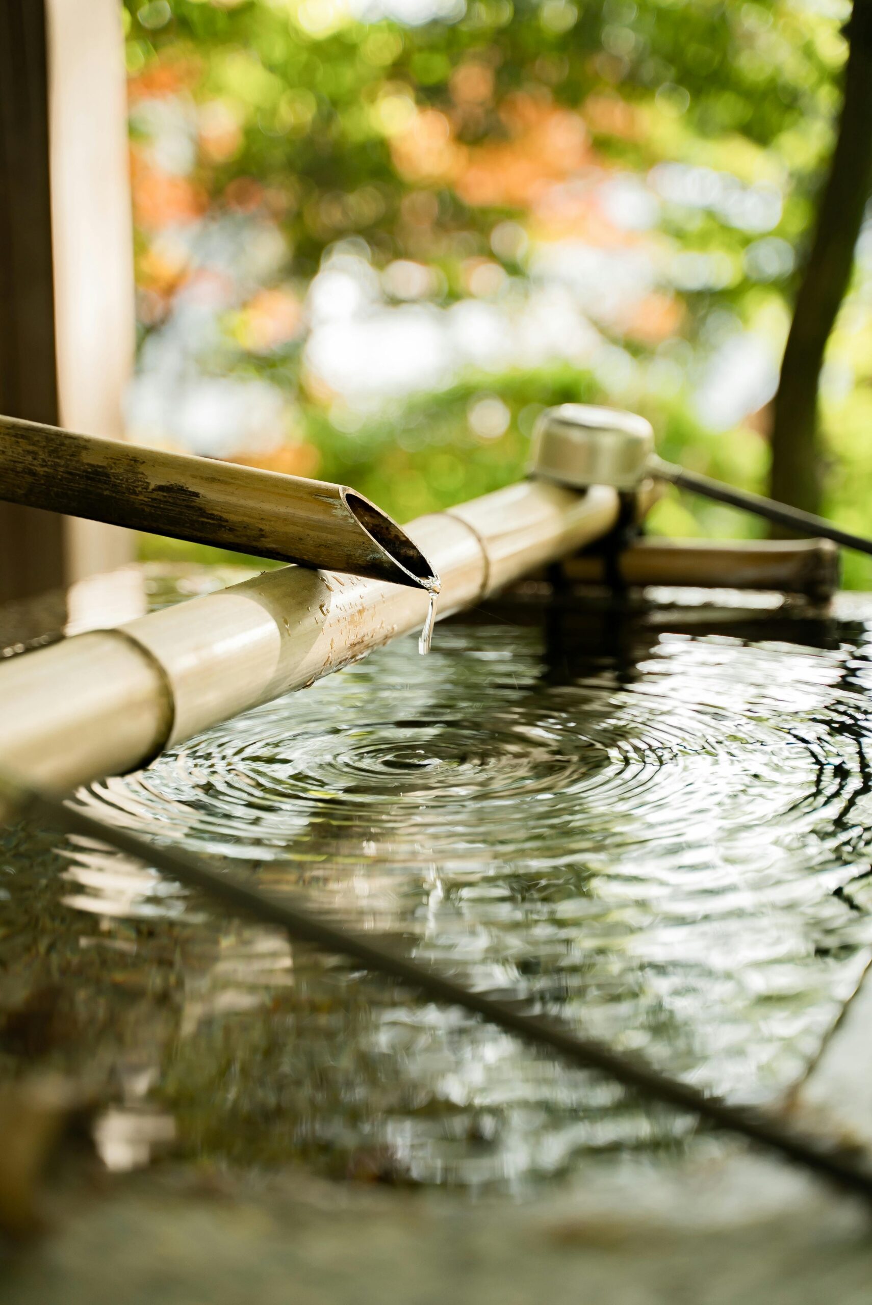 Zen & Japanese Garden Water Elements