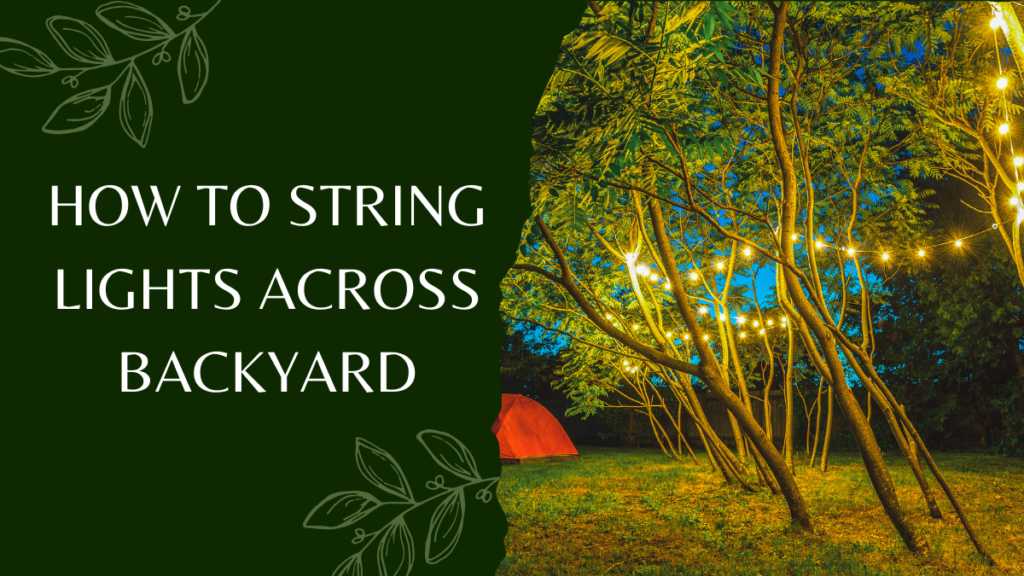 How to String Lights Across Backyard