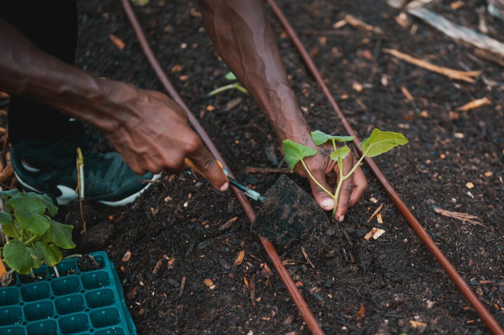 Drip Irrigation System