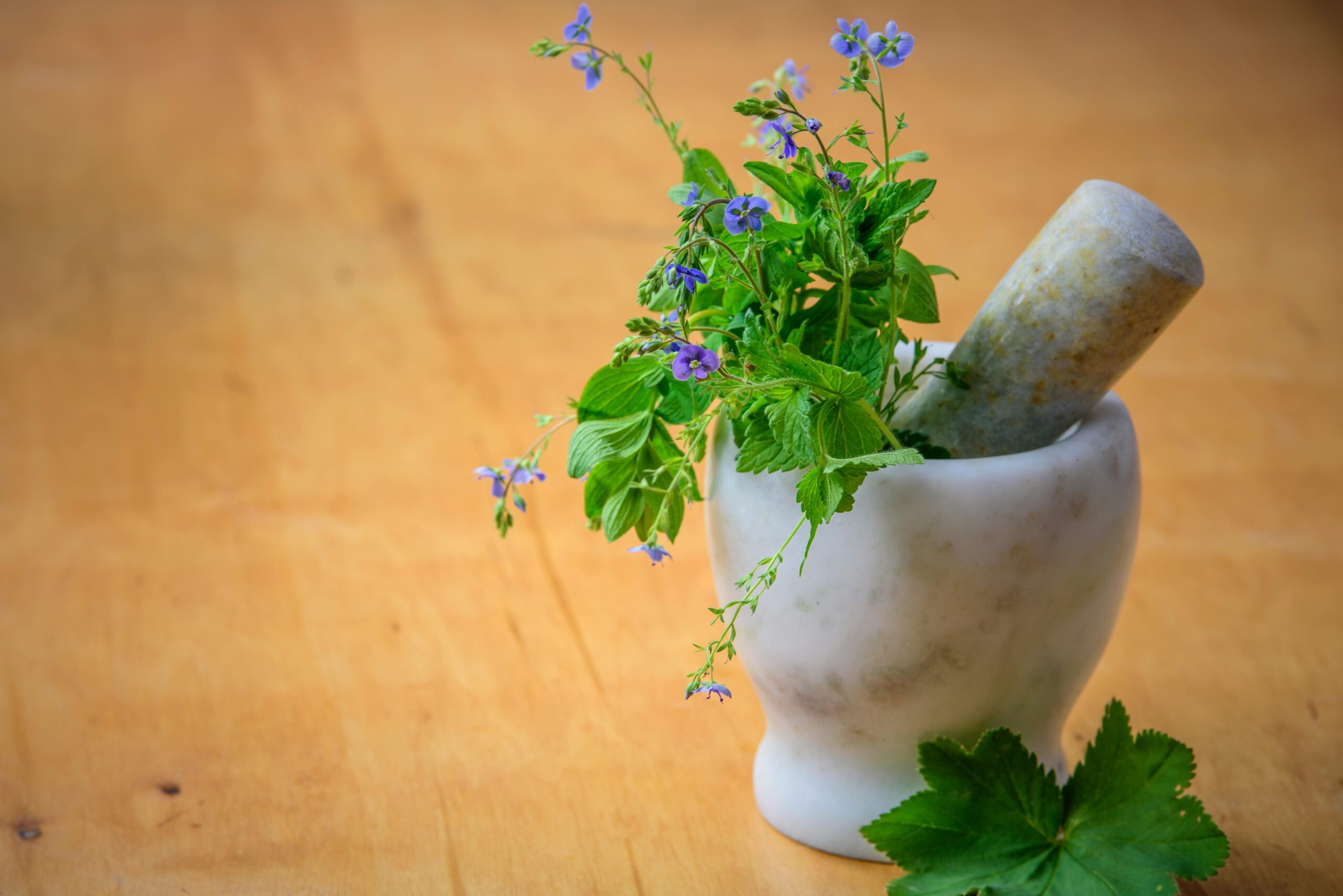 Wall-mounted gardens with herbs and flowers.