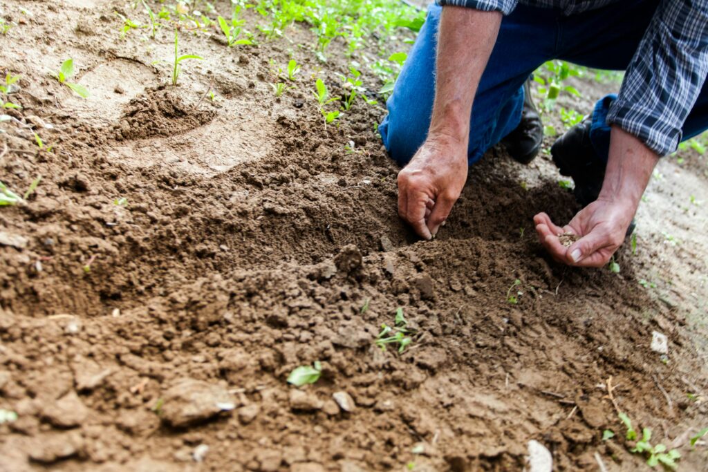 Soil Preparation