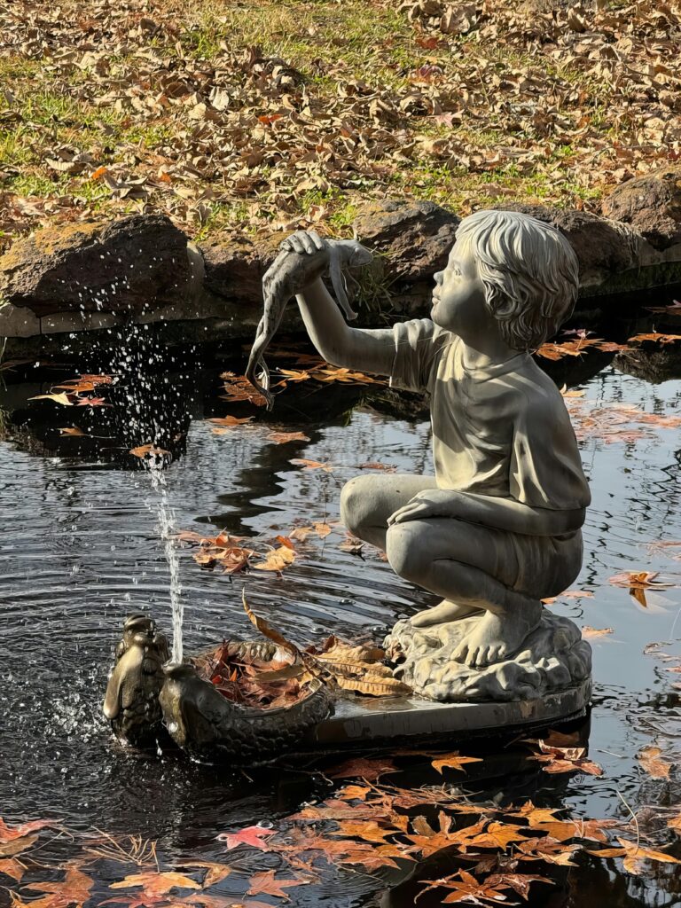 Pond & Water Features