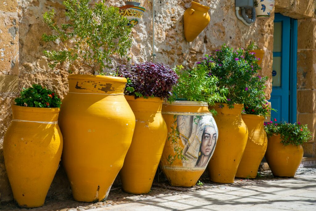 Painted Planters