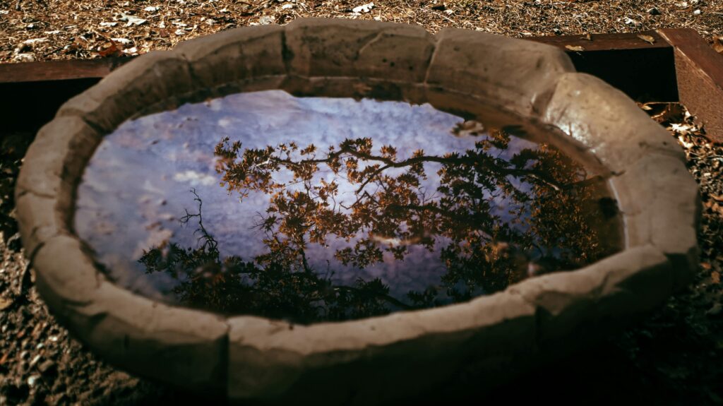 Stone Basins and Reflecting Pools