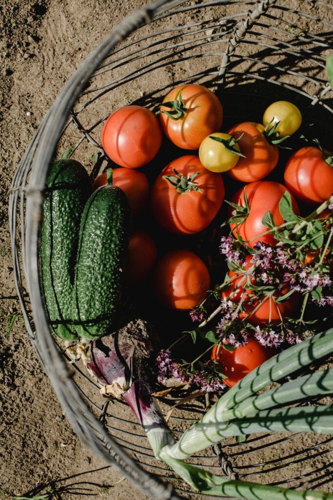 Vegetable & Herb Gardens