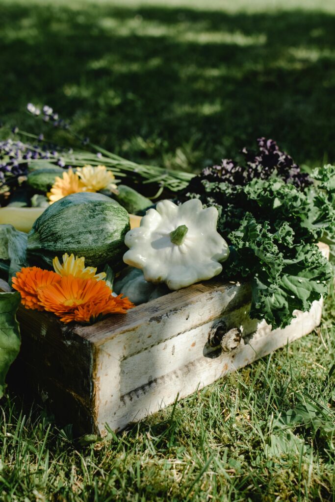 Vegetables and Herbs