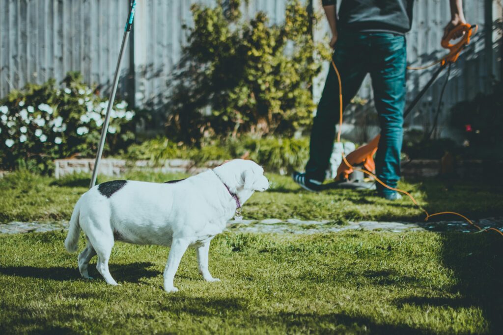 How to Level Backyard