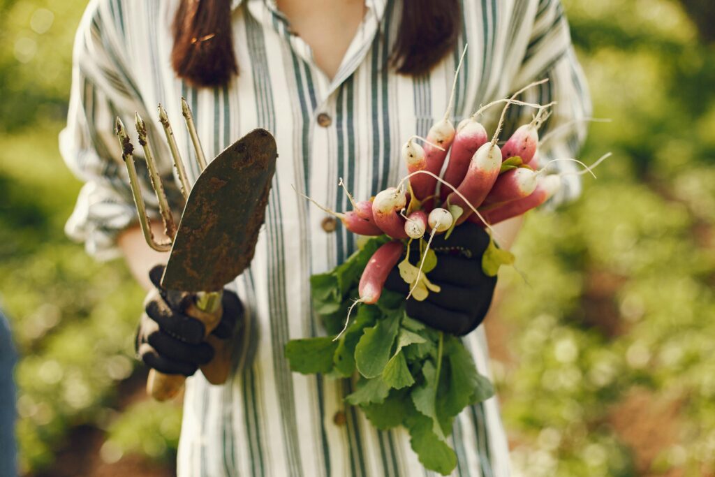 Preserving and Using Your Vegetables