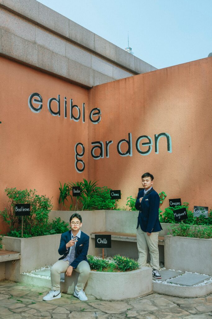 Vertical Gardens & Planters