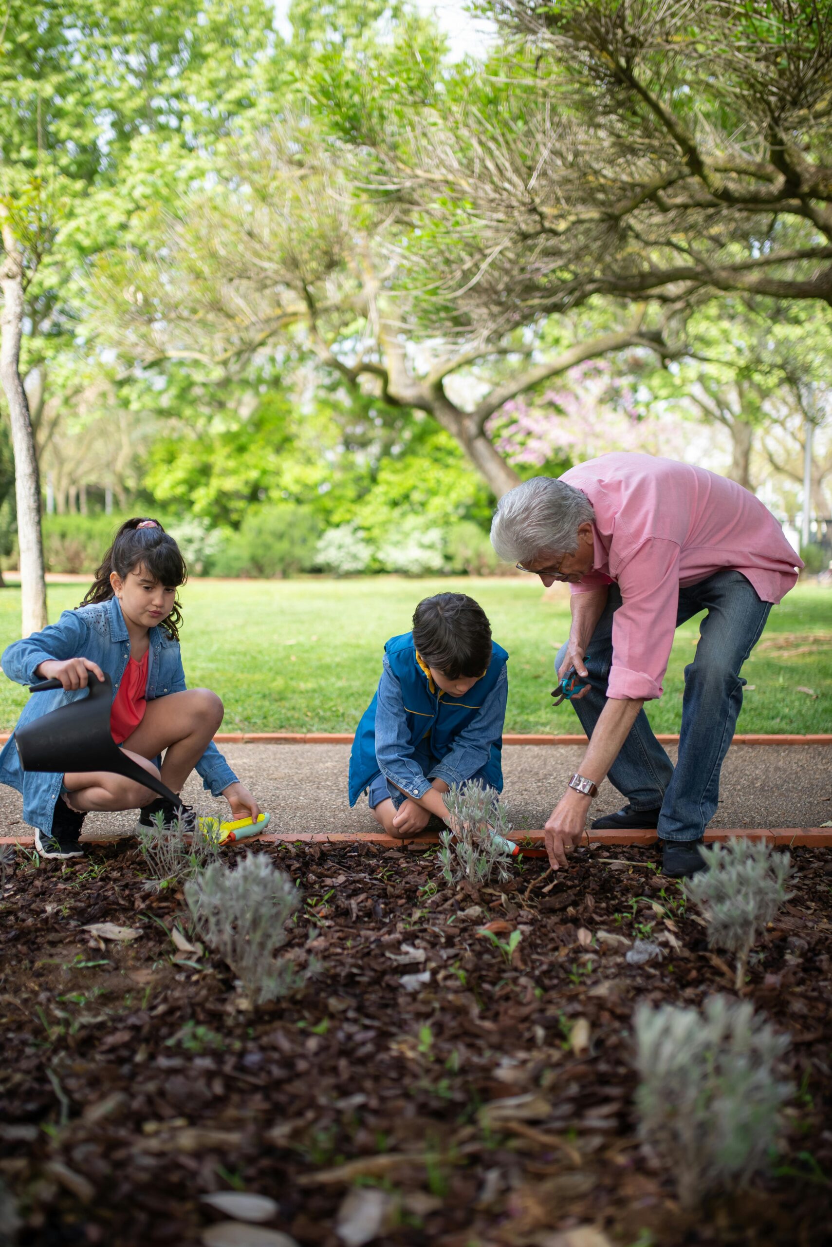 Watering & Soil Care