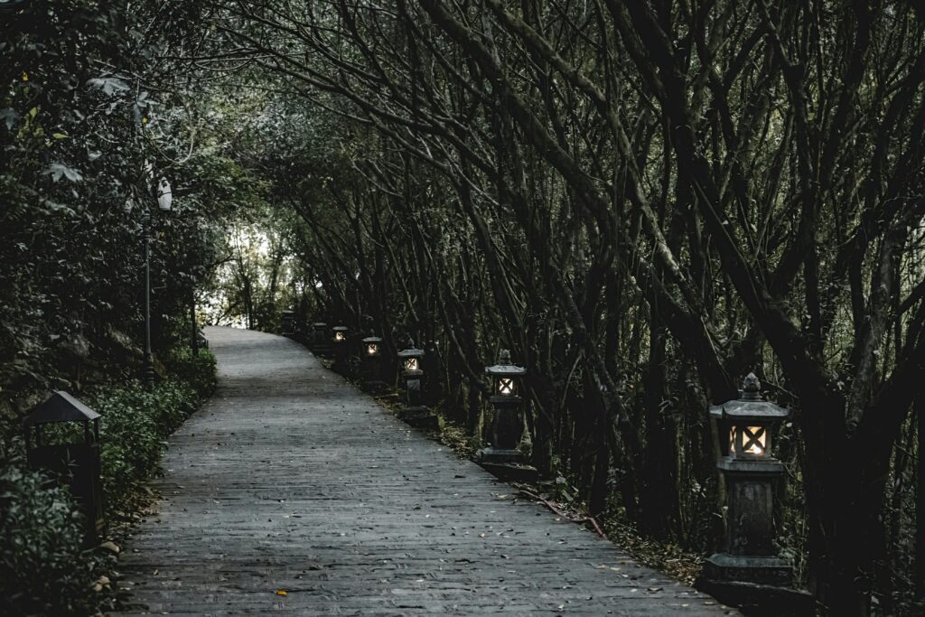 Solar Lanterns for Trees