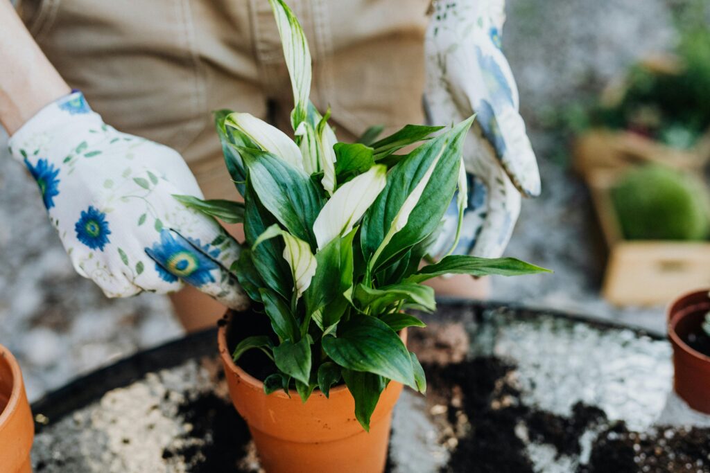 Garden Gloves