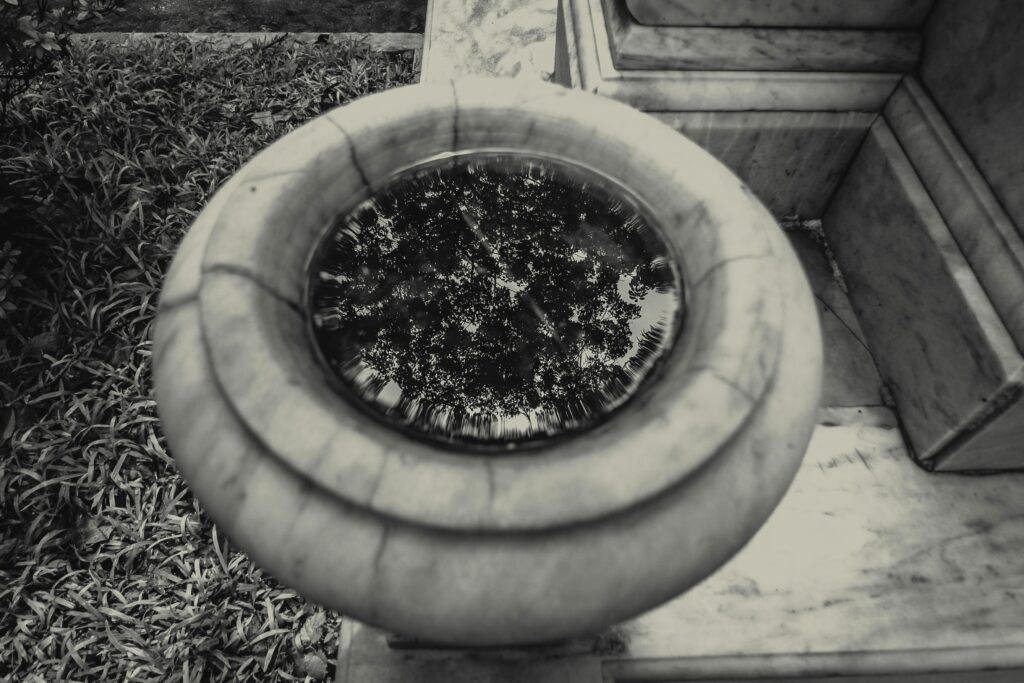 Container Water Gardens