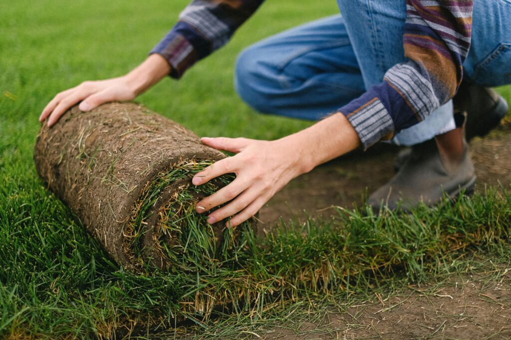 How to Level Backyard