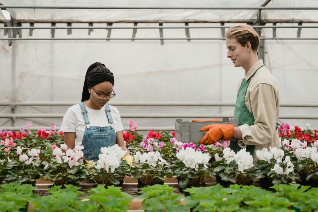 Benefits of Greenhouse Gardening