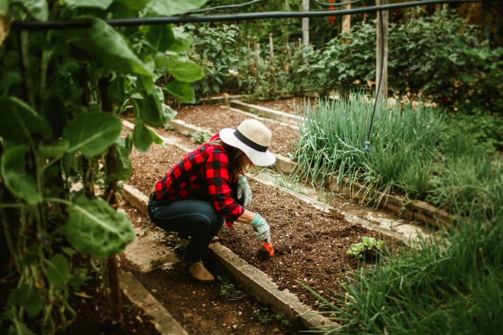 Defined Planting Beds