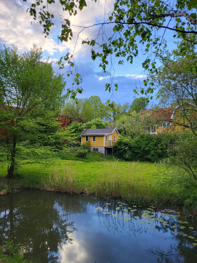 Backyard Ponds