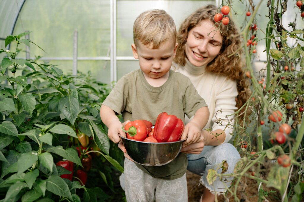 Preparing Your Backyard for a Vegetable Garden