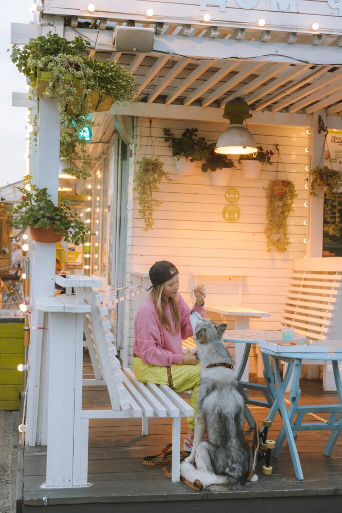 Traditional Wooden Benches