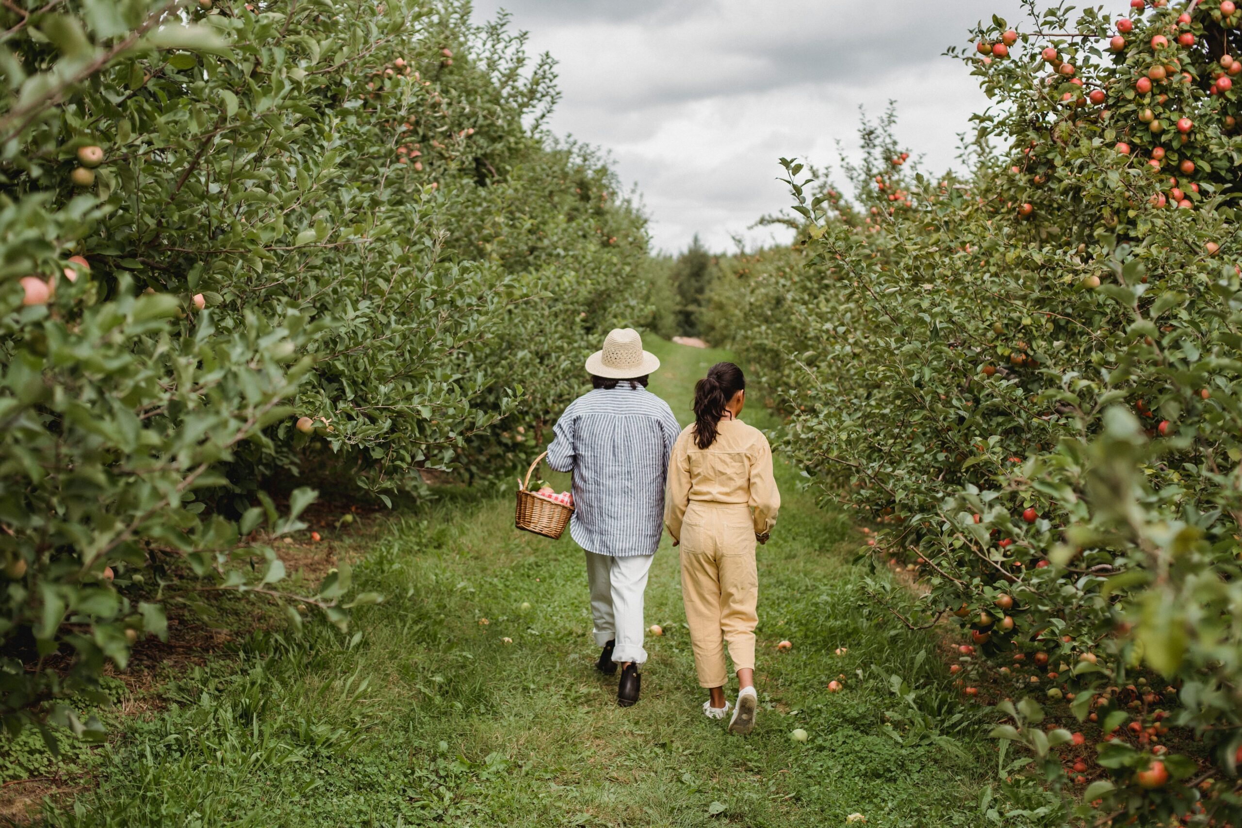 Fruit Trees & Bushes