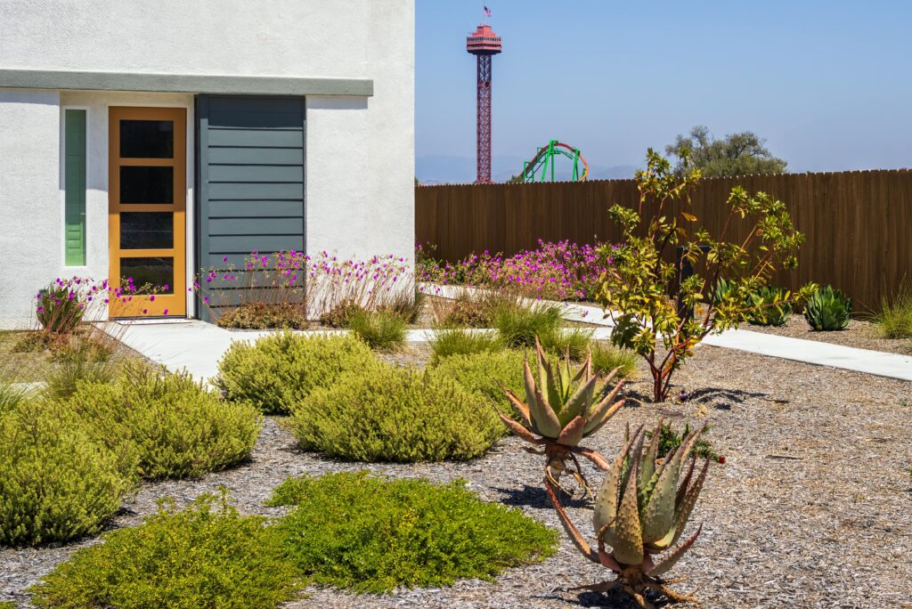Xeriscaping