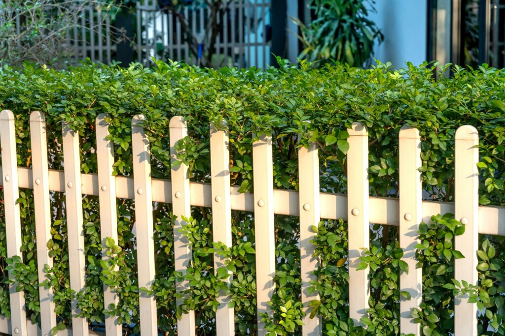 Trellis