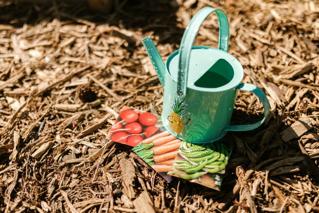 Guide to Transforming Your Backyard