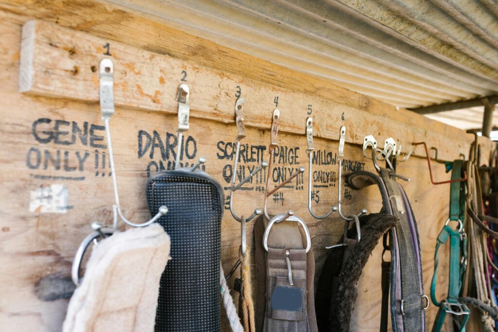 Storage Solutions