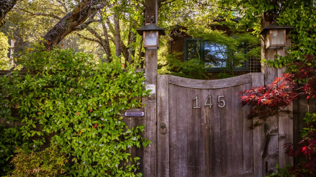Guide to Transforming Your Backyard