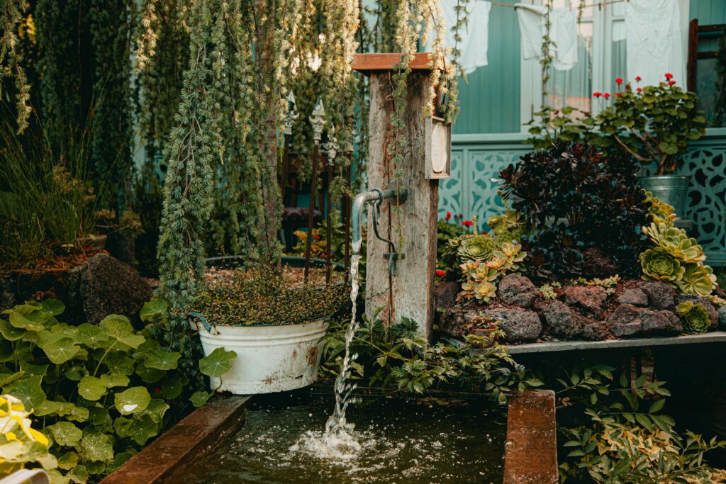 Water Features