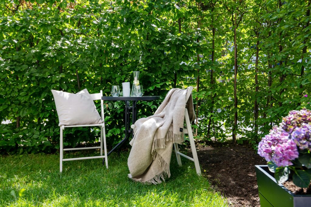 Best Plants for Backyard Privacy